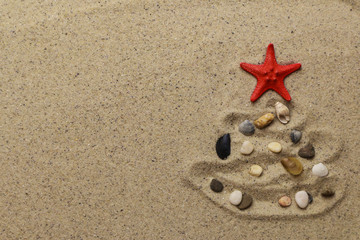 Fototapeta na wymiar Christmas tree from shells on sand background 