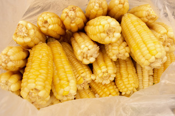 Boiled sweetcorn group ready to take in a plastic bag
