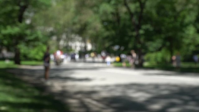 Central Park defocused, blurred New York City background for interviews and similar green screen videos