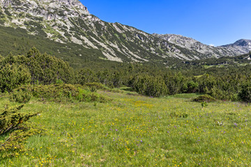 Landscape near The Fish Lakes, Rila mountain, Bulgaria