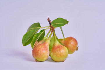 pears isolated on white background
