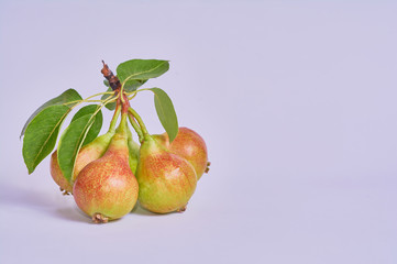 pears isolated on white background