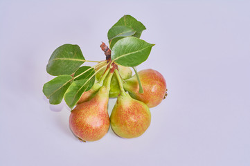 pears isolated on white background