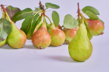 pears isolated on white background