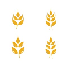 Wheat vector icon illustration design