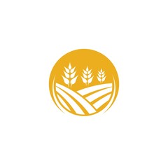 Agriculture wheat logo template vector icon