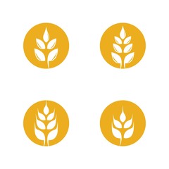 Fototapeta na wymiar Wheat vector icon illustration design