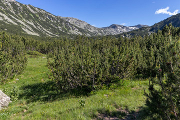 Obraz premium Landscape near The Fish Lakes, Rila mountain, Bulgaria