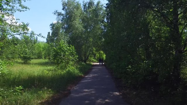 People walking down an overgrown path that was once a street in Pripyat, site of a nuclear disaster