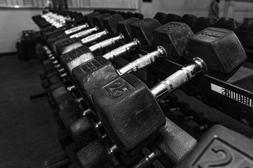 Workout Dumbbell 