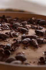 cacao fruit and beans from ecuador