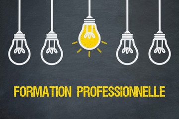 Formation professionnelle
