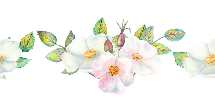 The flowers and leaves of wild rose. Repetition of summer horizontal border. Floral watercolor illustration. Compositions for greeting cards or invitations