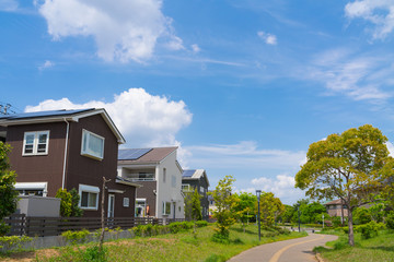 住宅街　イメージ　分譲住宅　青空と緑