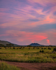 Sunset on the Serengeti