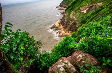 Blurred wallpaper of nature by the sea, with the wind blowing through, rain storms passing through,...