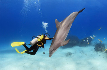 Female diver plays with a friendly dolphin