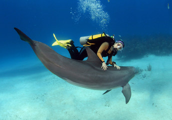 Female diver plays with a friendly dolphin