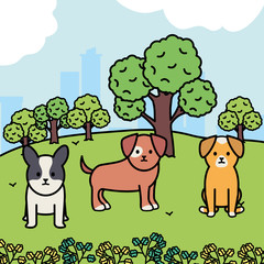 Obraz na płótnie Canvas little dogs adorables mascots in the landscape