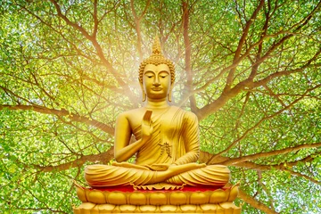 Fototapeten Goldene Buddha-Statue unter dem Bodhi-Blatt, natürlicher Hintergrund © S@photo