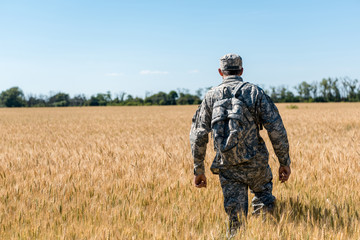 back view of military man with backpack standing in field with wheat