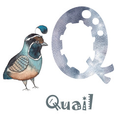 Watercolor animal and letter alphabet