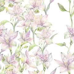 Hand painted watercolor illustration. Floral seamless pattern with white Alstroemeria flowers. 