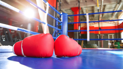 Boxing gloves on ring in gym