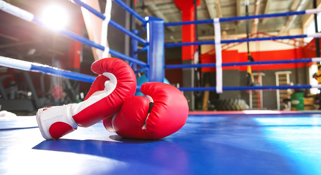 Boxing gloves on ring in gym
