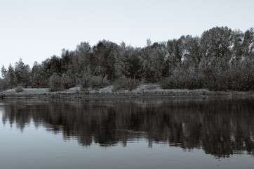 reflection of trees in water