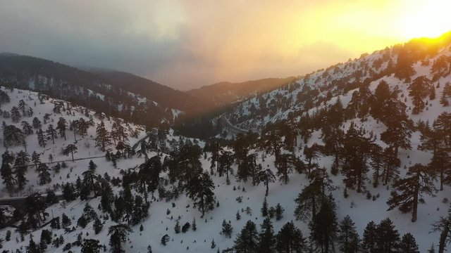 Snow mountains and pine woodlands in Mediterranean