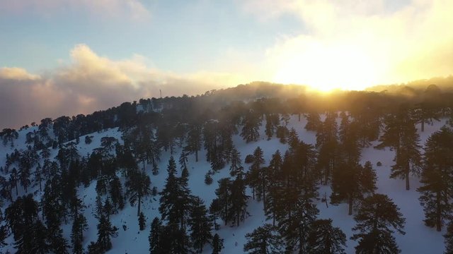 Snow mountains and pine woodlands in Mediterranean