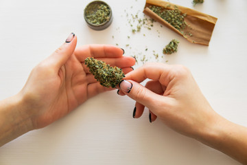 Close up of marijuana blunt with grinder. marijuana use concept. Woman rolling a cannabis blunt on...