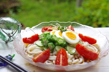 冷やしうどん　ウドン　冷やしぶっかけうどん