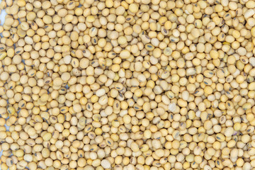 Top view of soybean background