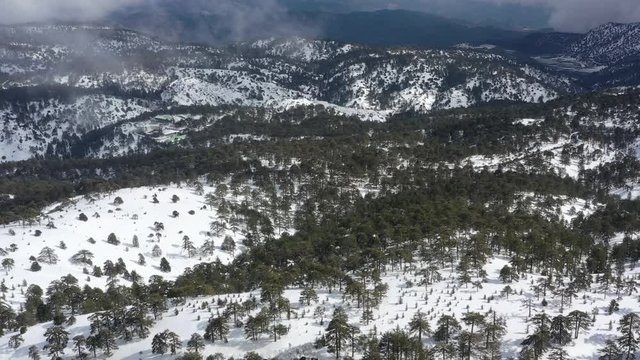 Snow mountains and pine woodlands in Mediterranean