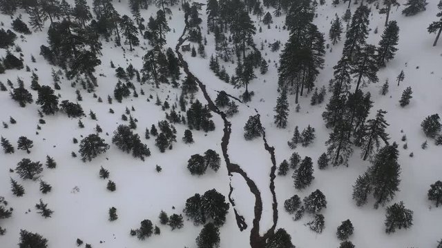 Snow mountains and pine woodlands in Mediterranean