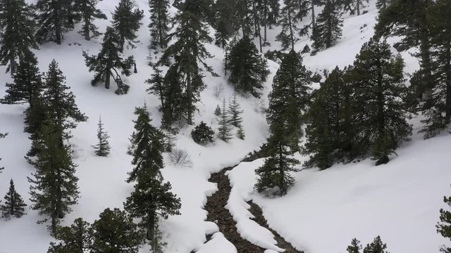 Snow mountains and pine woodlands in Mediterranean