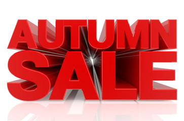 AUTUMN SALE word on white background 3d rendering