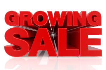 GROWING SALE word on white background 3d rendering