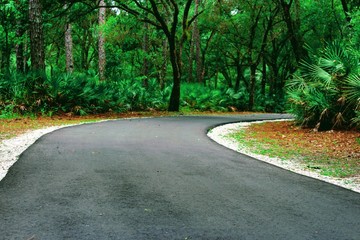 Fototapeta na wymiar Disappearing pathway in Florida park