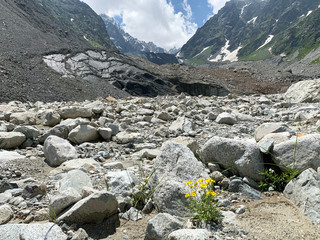 Russia, North Ossetia. Tsey gorge and  glacial in summer day