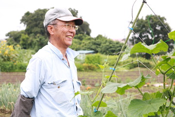 農作業のシニア男性