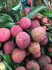 Lychee