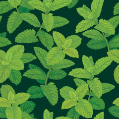 Seamless pattern of green mint leaves on background template. Vector set of herbal element for advertising, packaging design, greeting card and fashion design.