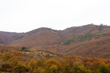 Hill and trees in autumn