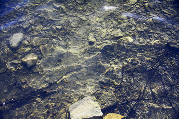 surface of water
