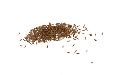 Cumin seeds or caraway isolated on white background