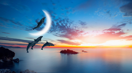 Silhoutte of beautiful dolphin jumping up from the sea at sunset with crescent moon