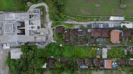 Aerial: illegal construction of hotels amongst a tropical rainforest. Ubud, Bali, Indonesia. 2 March 2019